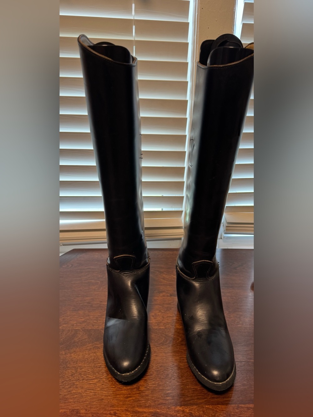 Essex Magic Feather Classic Black Women's Tall Leather Riding  Boots